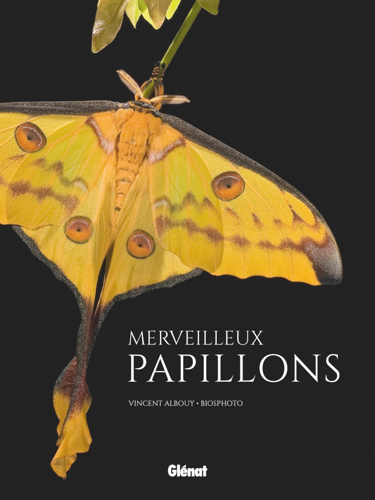 Merveilleux papillons -  , Vincent Albouy, Biosphoto Biosphoto,  Biosphoto - GLENAT