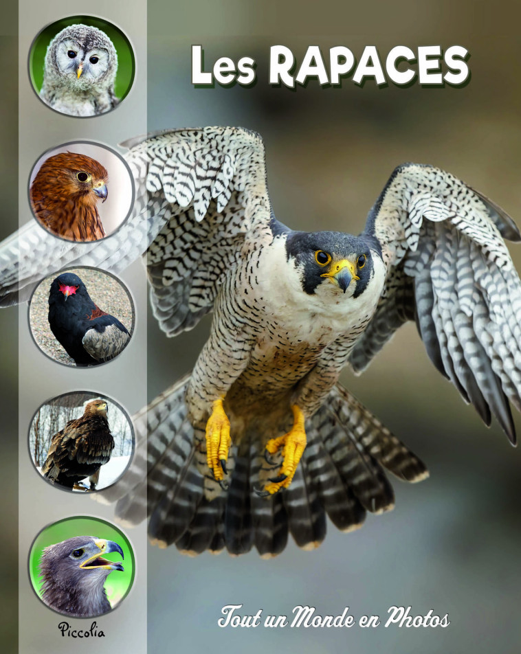 Les rapaces -  Collectif - PICCOLIA