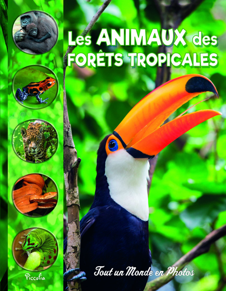 Les animaux des forêts tropicales -  Collectif - PICCOLIA