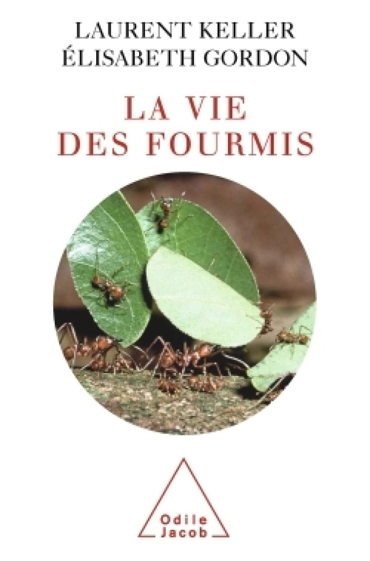 La Vie des fourmis - Laurent Keller, Élisabeth Gordon - JACOB