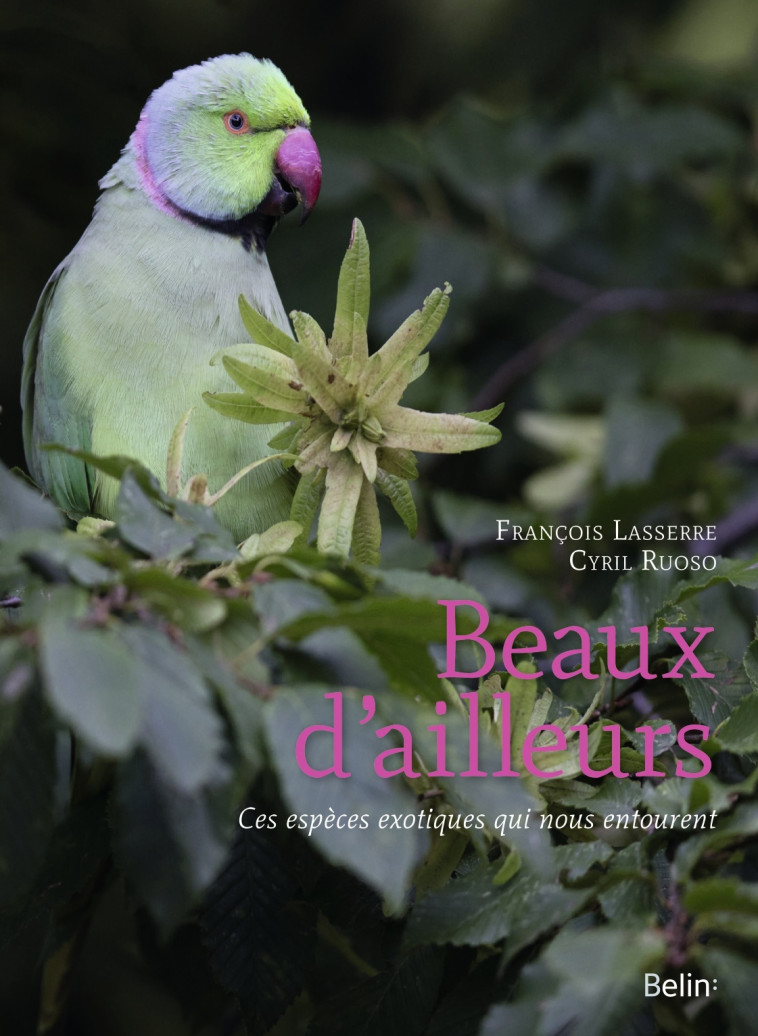 Beaux d'ailleurs - François Lasserre, Cyril Ruoso - BELIN