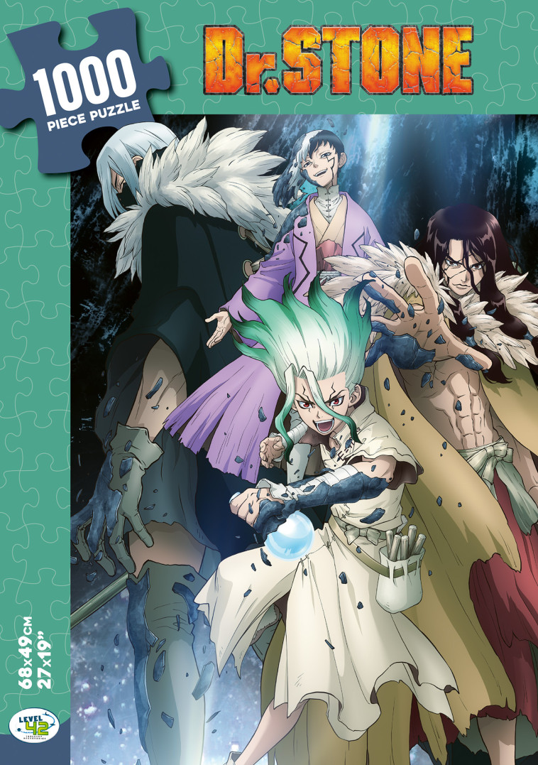 Dr. Stone puzzle 1000 pièces - XXX - YNNIS