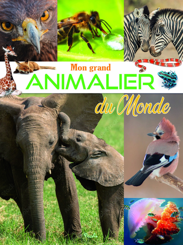 Mon grand animalier du monde -  Collectif, Christine Baillet - PICCOLIA