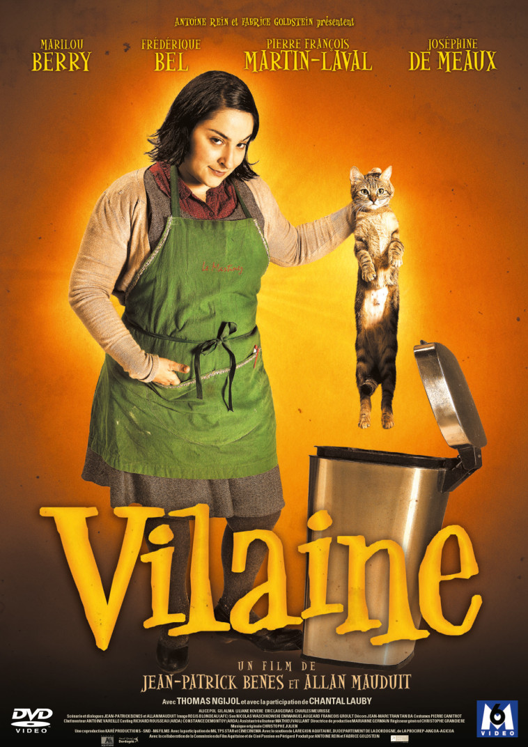 VILAINE - DVD -  Benes Jean-Patrick - SND GROUPE M6