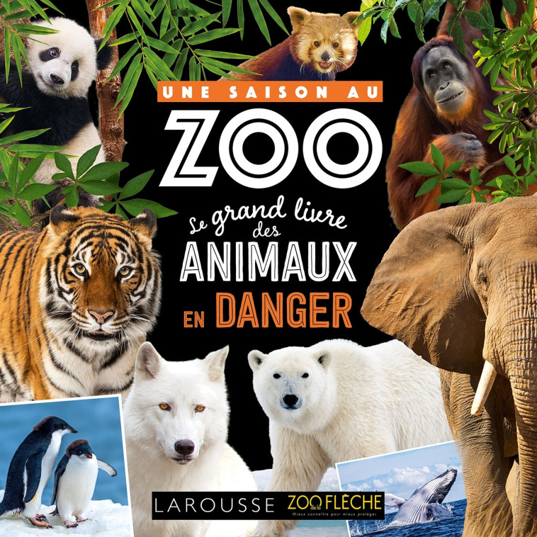 UNE SAISON AU ZOO - Le grand livre des animaux en danger -  Collectif - LAROUSSE