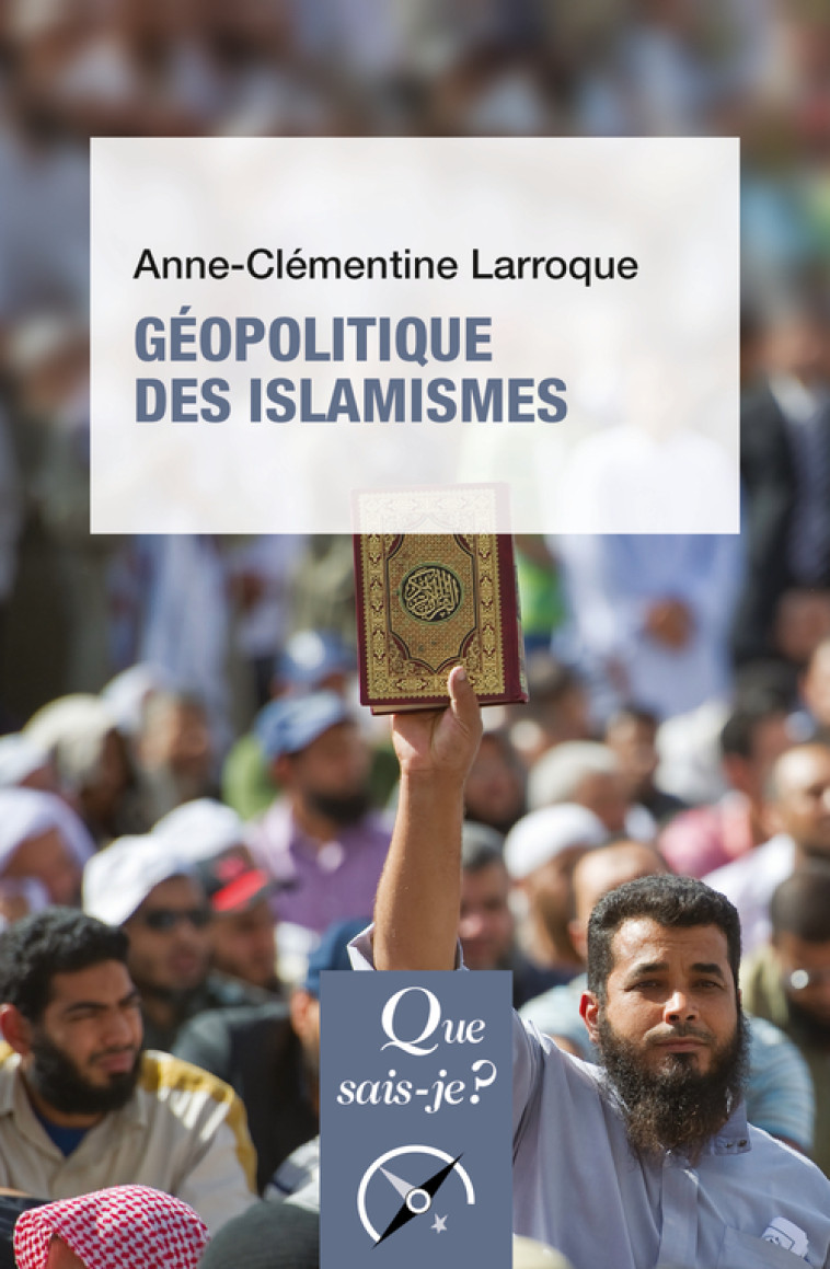 Géopolitique des islamismes - Anne-Clémentine Larroque - QUE SAIS JE