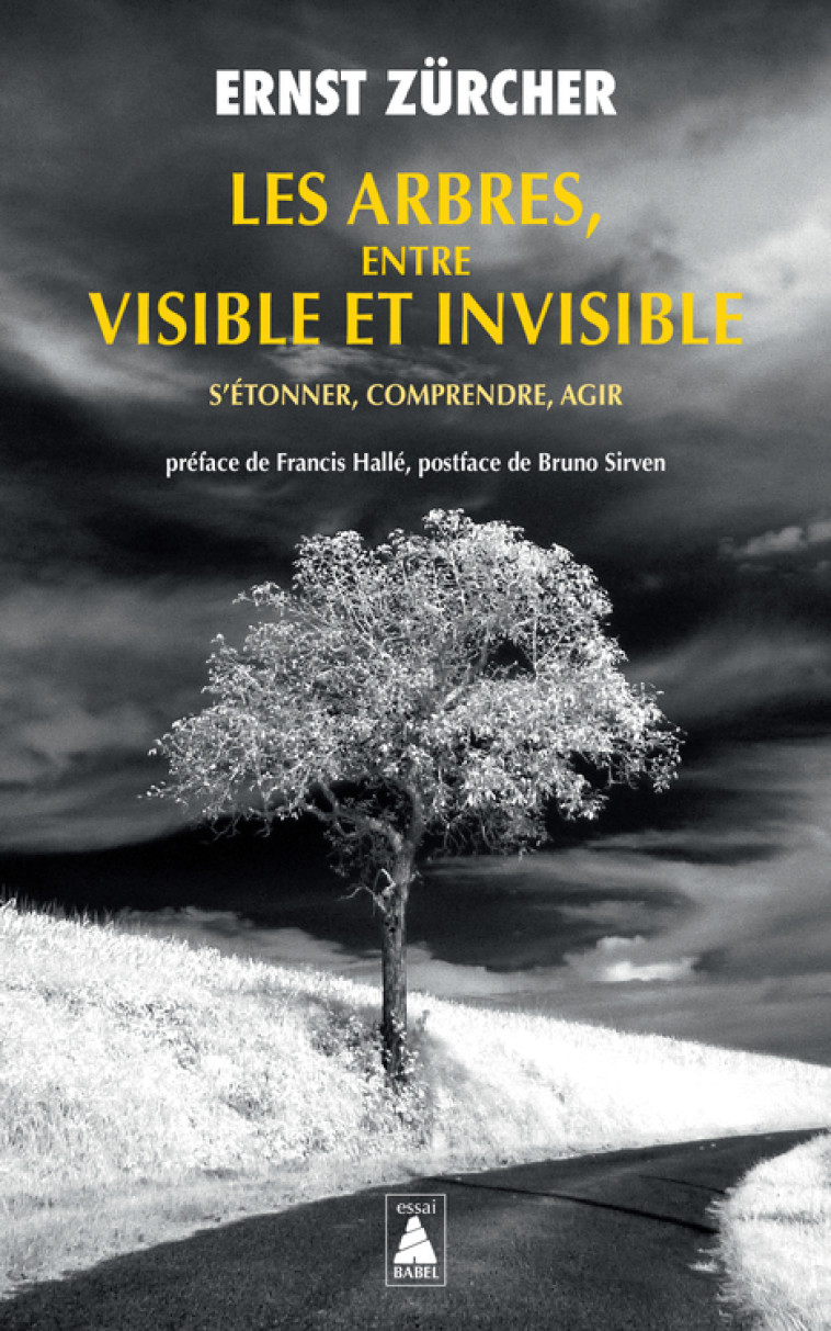 Les Arbres, entre visible et invisible - Ernst Zürcher, Francis Hallé, Bruno Sirven, Ernst Zürcher, Francis Hallé, Bruno Sirven - ACTES SUD