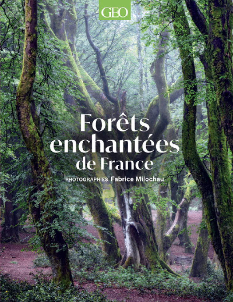 Forêts enchantées de France - Fabrice Milochau, Eve Gandossi, Fabrice Milochau, Eve Gandossi - GEO