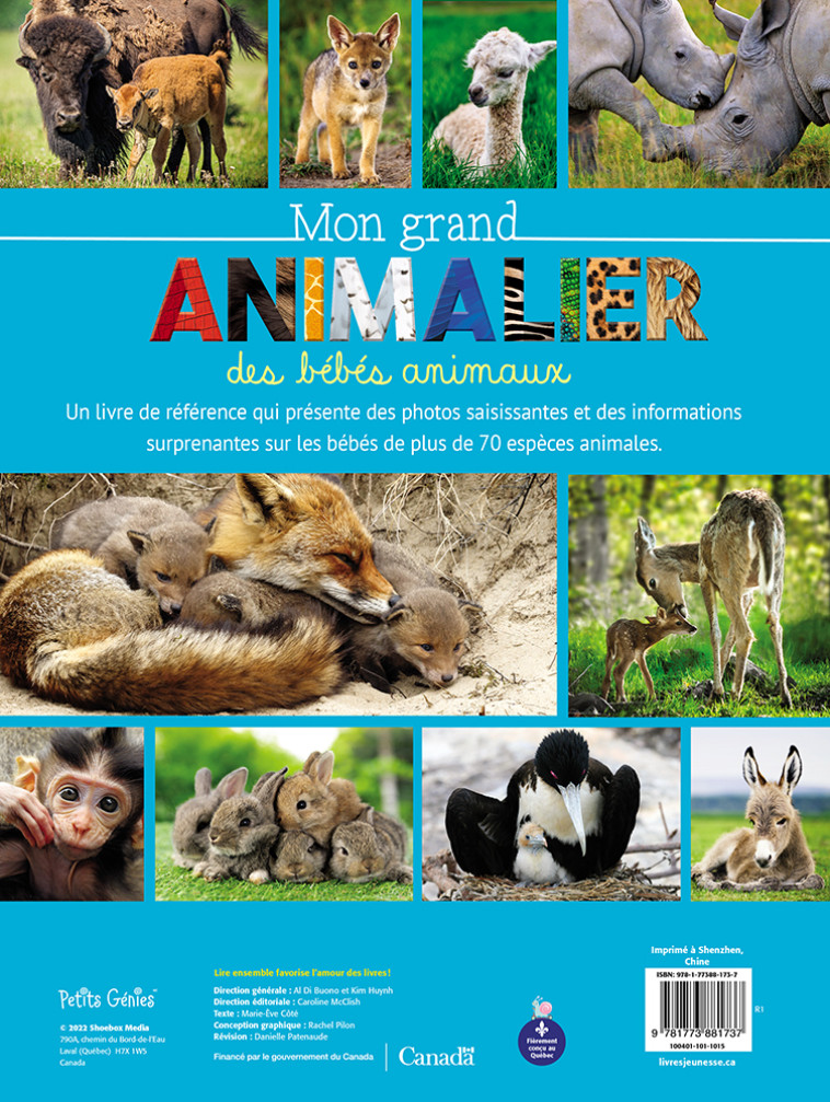 MON GRAND ANIMALIER DES BEBES ANIMAUX - COTE MARIE-EVE - PETITS GENIES