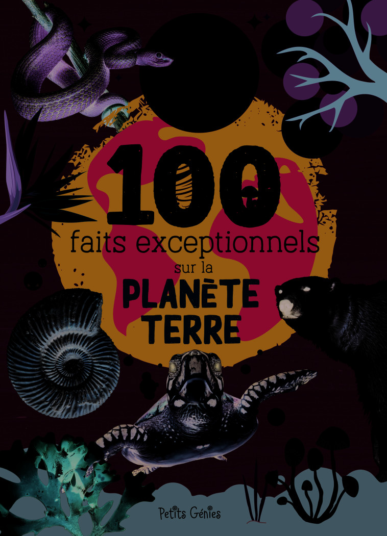 100 FAITS EXCEPTIONNELS SUR LA PLANETE TERRE - FORTIN MATHIEU - PETITS GENIES