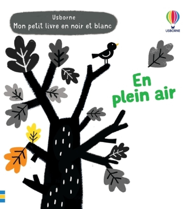 EN PLEIN AIR - CARTWRIGHT/HABIB - USBORNE