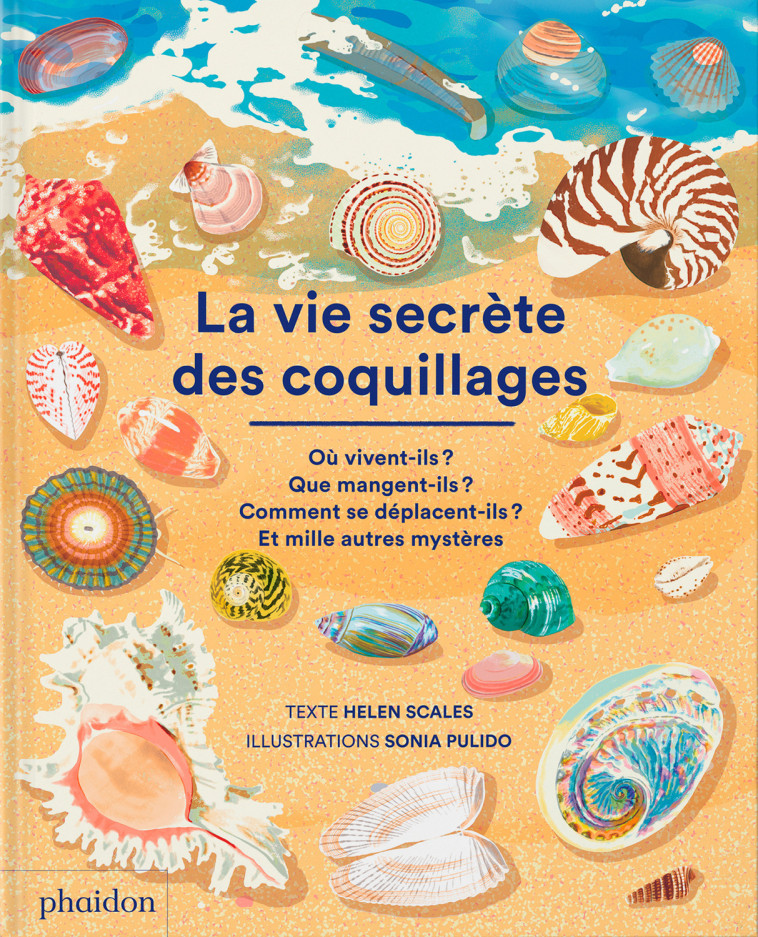 LA VIE SECRETE DES COQUILLAGES - SCALES HELEN / PULIDO SONIA - PHAIDON FRANCE