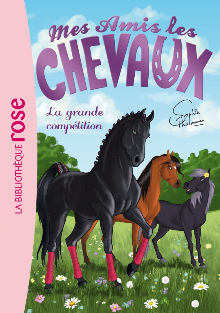 MES AMIS LES CHEVAUX 02 LA GRANDE COMPETITION - THALMANN SOPHIE - HACHETTE JEUN.