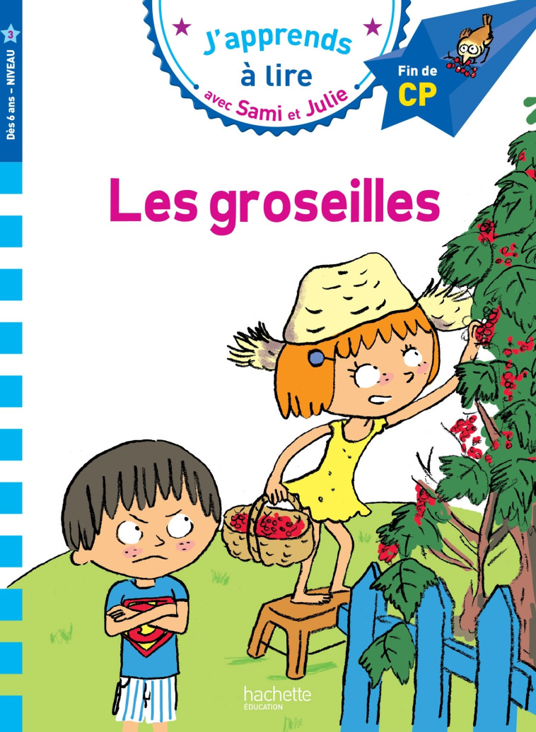 LES GROSEILLES CP NIVEAU 3 - MASSONAUD/BONTE - HACHETTE EDUC