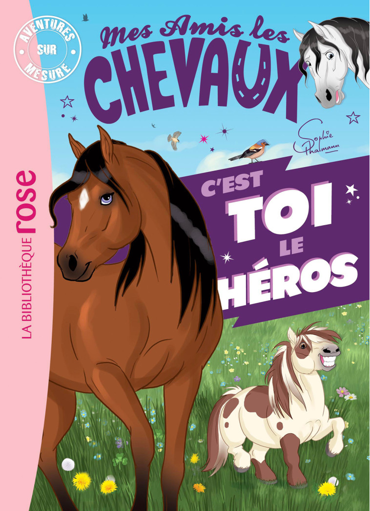 MES AMIS LES CHEVAUX C'EST TOI LE HEROS - THALMANN SOPHIE - HACHETTE JEUN.