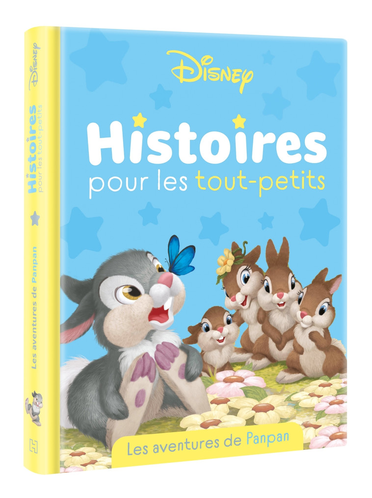 HISTOIRES POUR LES TOUT-PETITS LES AVENTURES DE PANPAN - XXX - DISNEY HACHETTE