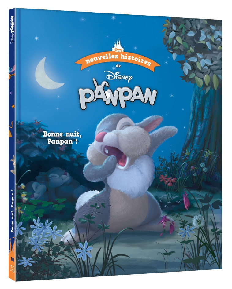 LES NOUVELLES HISTOIRES DE PANPAN BONNE NUIT, PANPAN ! - XXX - DISNEY HACHETTE