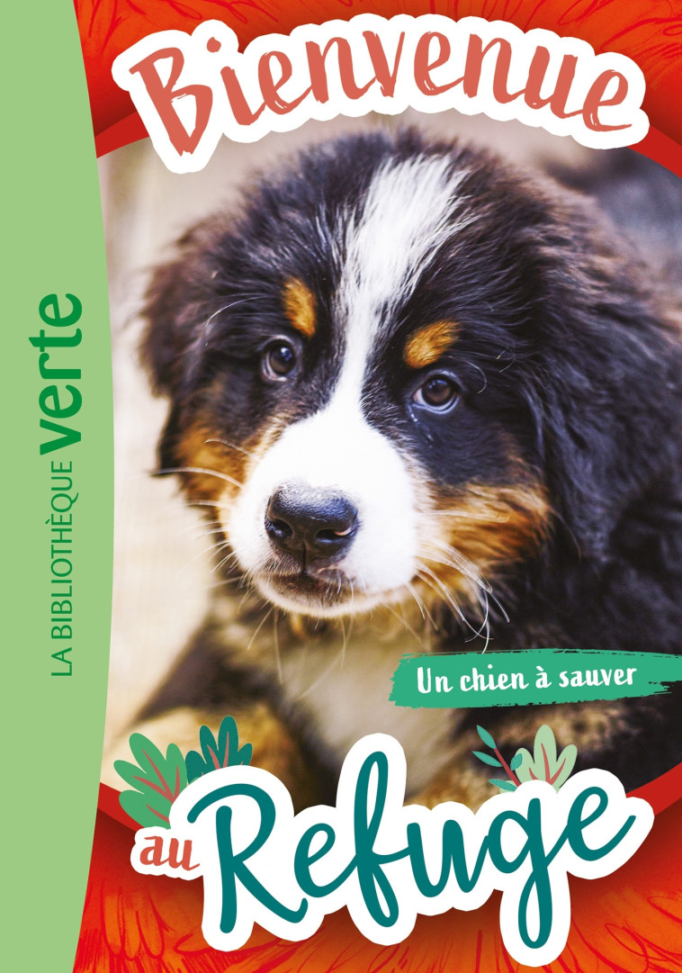 BIENVENUE AU REFUGE T02 CHIEN A SAUVER - RUTER PASCAL - HACHETTE JEUN.