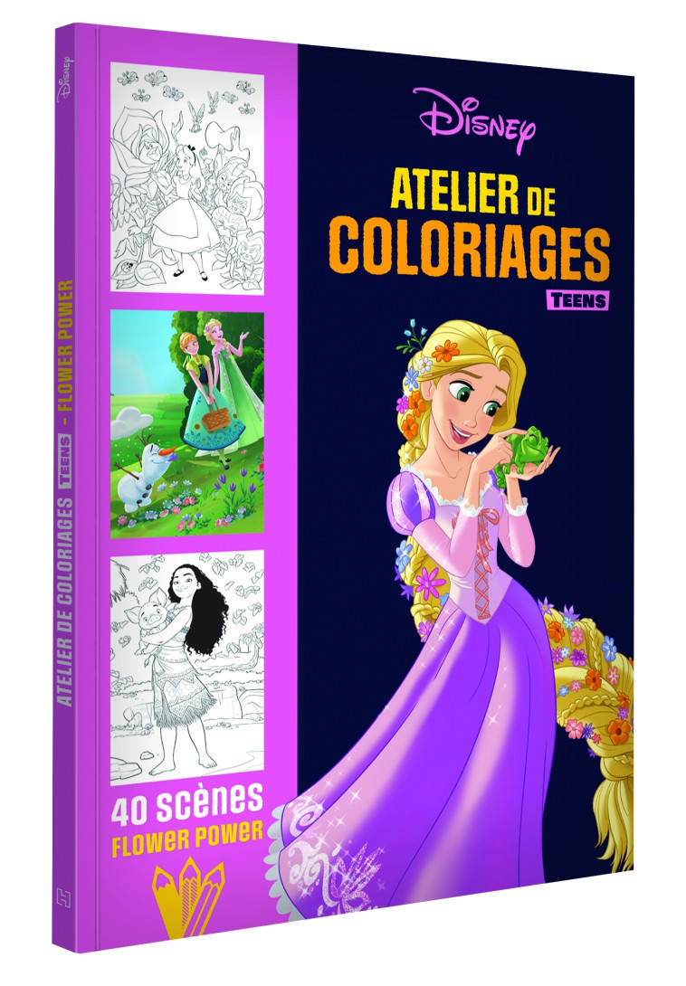 DISNEY PRINCESSES - ATELIERS DE COLORIAGES - TEENS - XXX - DISNEY HACHETTE