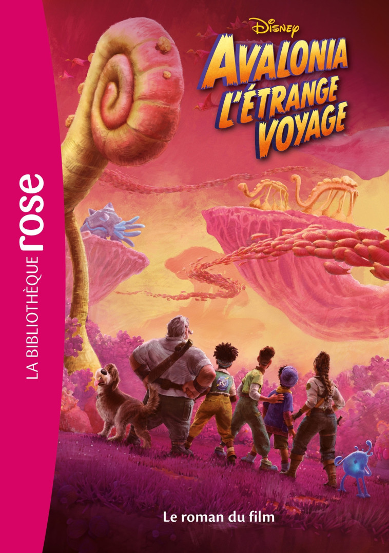 AVALONIA L'ETRANGE VOYAGE - LE ROMAN DU FILM - DISNEY - HACHETTE JEUN.