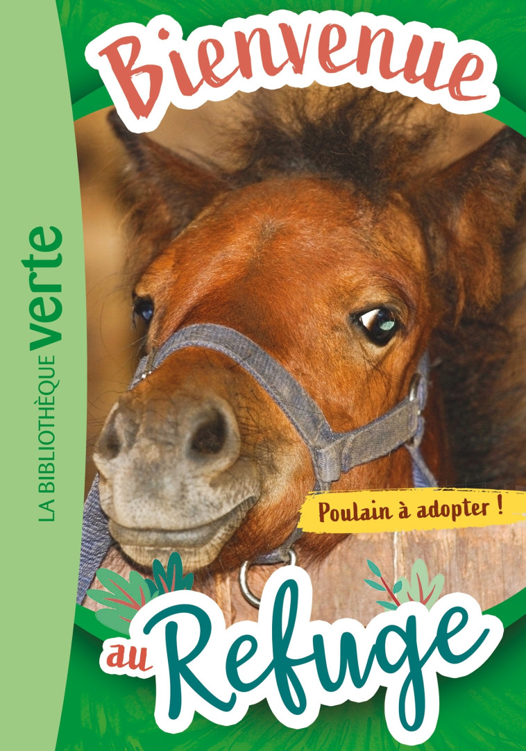 BIENVENUE AU REFUGE T03 POULAIN A ADOPTER - RUTER PASCAL - HACHETTE JEUN.