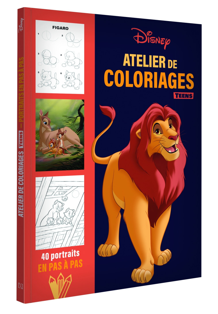 ATELIERS DE COLORIAGES -TEENS - COLLECTIF - DISNEY HACHETTE