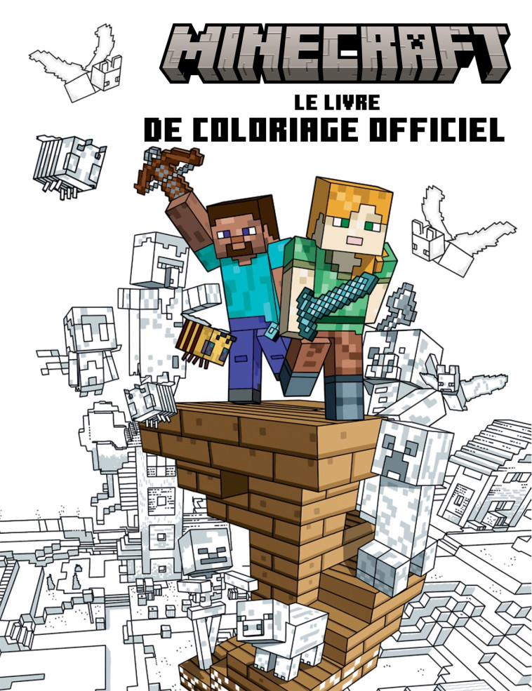 MINECRAFT - LE LIVRE DE COLORIAGE OFFICIEL - COLLECTIF - HACHETTE HEROES