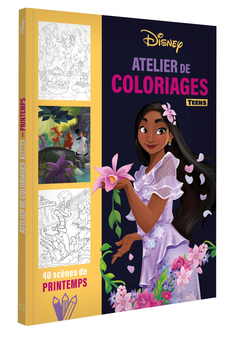 ATELIER DE COLORIAGES TEENS 40 SCENES DE PRINTEMPS - XXX - DISNEY HACHETTE