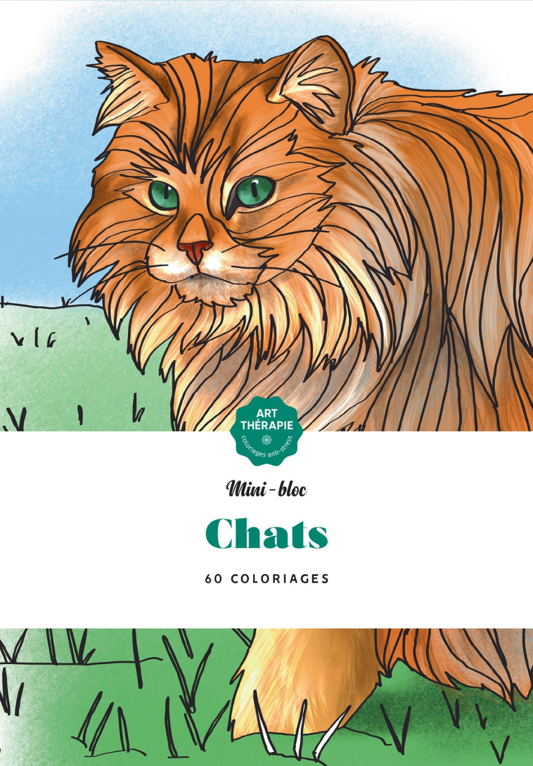 CHATS - NAYE KARINE - HACHETTE HEROES