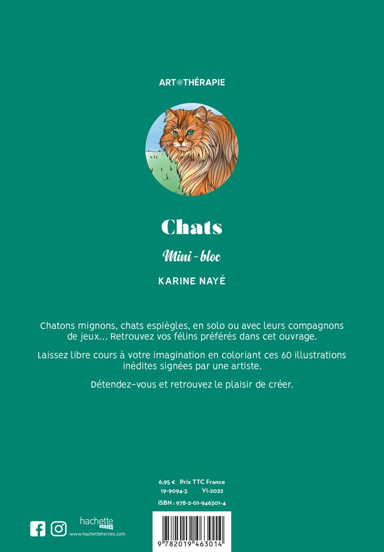 CHATS - NAYE KARINE - HACHETTE HEROES