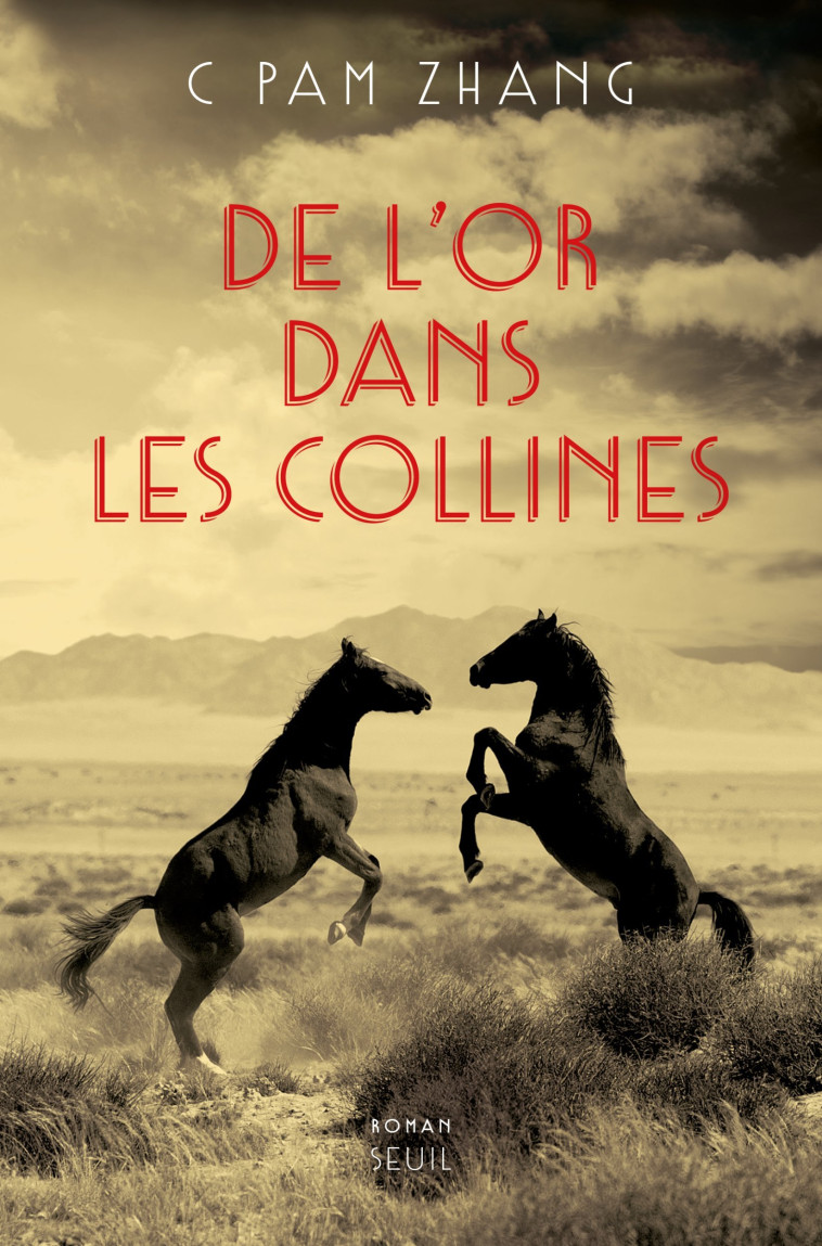 DE L'OR DANS LES COLLINES - PAM ZHANG C - SEUIL