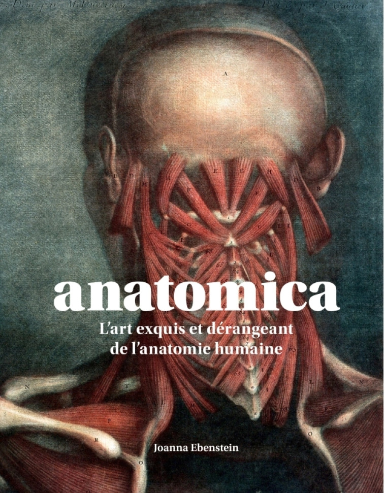 ANATOMICA. L'ART EXQUIS ET DERANGEANT DE L' ANATOMIE HUMAINE - EBENSTEIN JOANNA - SEUIL