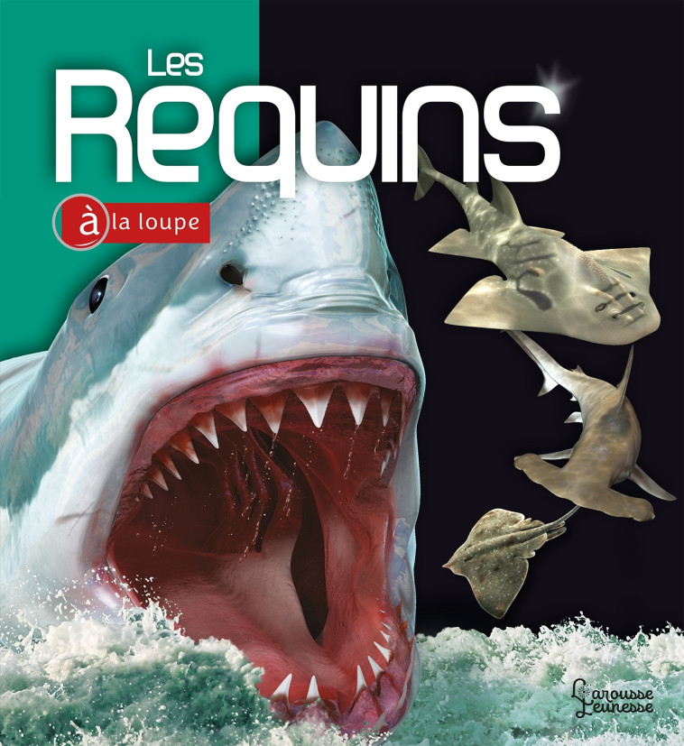 LES REQUINS A LA LOUPE - MUSICK/MCMILLAN - LAROUSSE