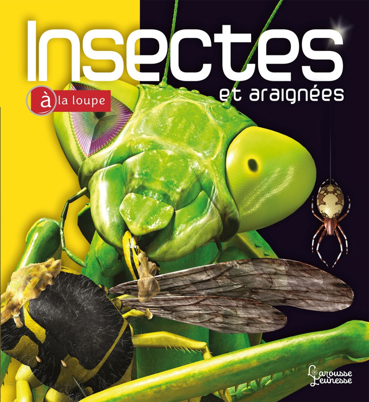 INSECTES ET ARAIGNEES A LA LOUPE - TAIT NOEL - LAROUSSE