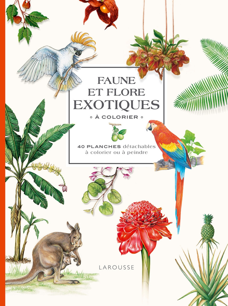 FAUNE ET FLORE EXOTIQUES A COLORIER - XXX - LAROUSSE