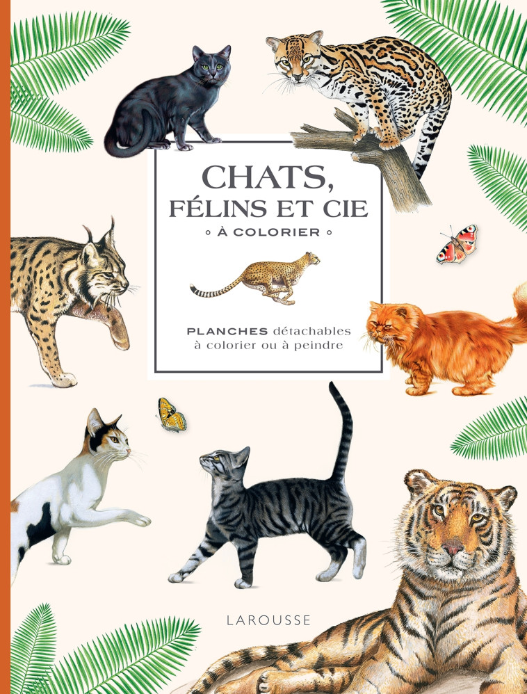 CHATS FELINS ET CIE A COLORIER - XXX - DESSAIN TOLRA