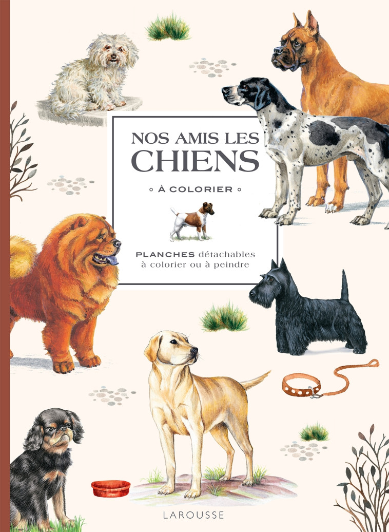 NOS AMIS LES CHIENS A COLORIER - XXX - LAROUSSE