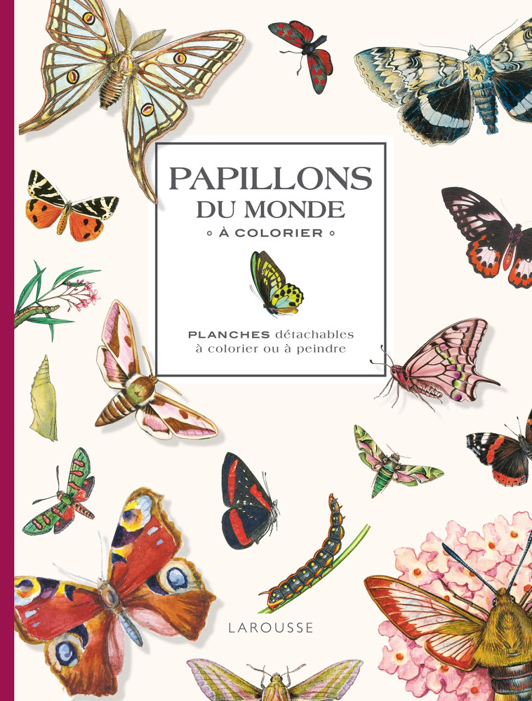 PAPILLONS DU MONDE A COLORIER - XXX - LAROUSSE