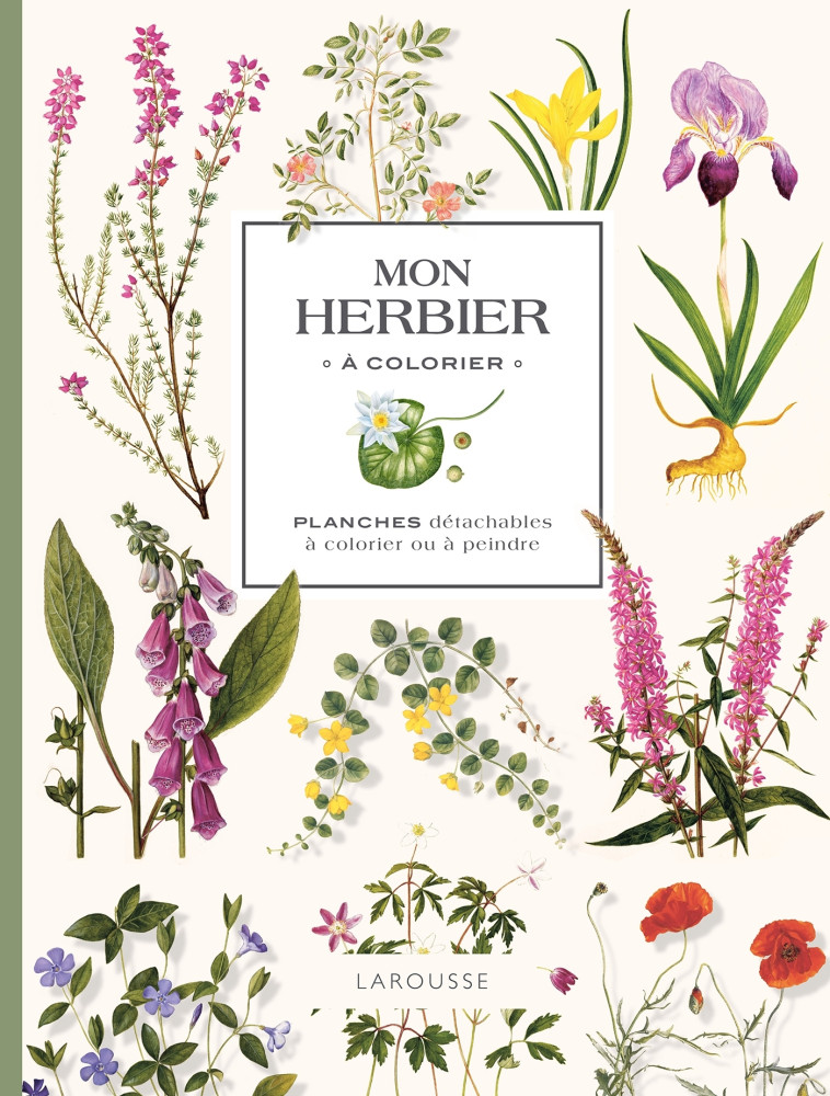 MON HERBIER A COLORIER - XXX - LAROUSSE