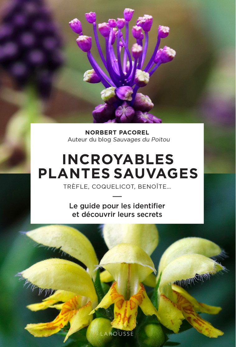 INCROYABLES PLANTES SAUVAGES - PACOREL NORBERT - LAROUSSE