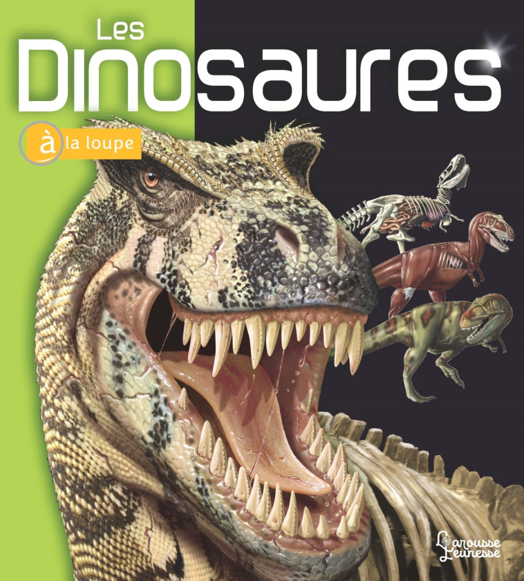 LES DINOSAURES - LONG JOHN - LAROUSSE