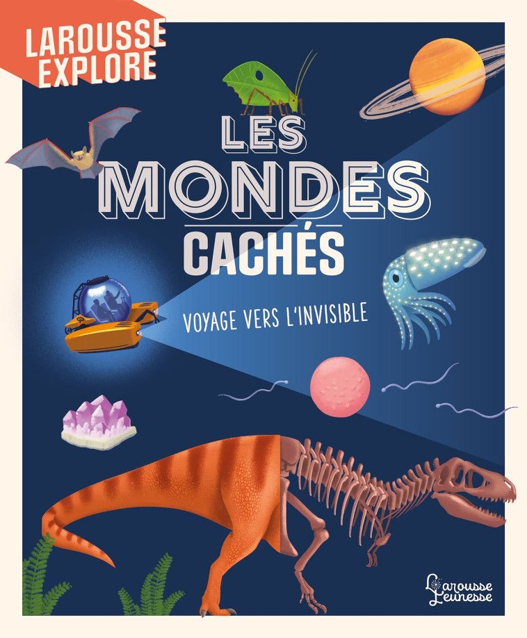 LES MONDES CACHES - VOYAGE VERS L'INVISIBLE - MC GEACHIN JESS - LAROUSSE