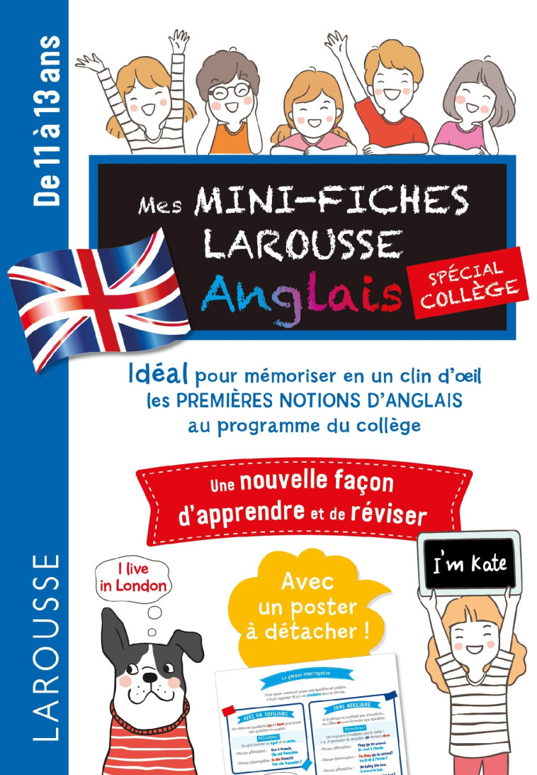 MINI FICHES ANGLAIS SPECIAL COLLEGE - COLLECTIF - LAROUSSE