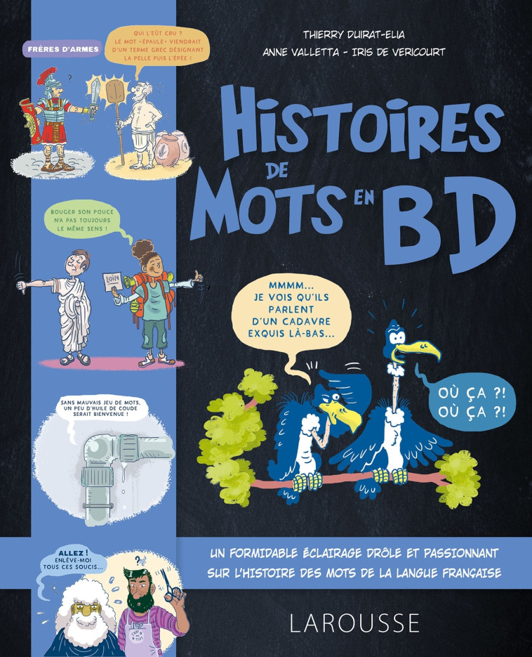 L'HISTOIRE DES MOTS EN BD - DUIRAT THIERRY - LAROUSSE