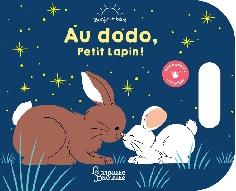 AU DODO, PETIT LAPIN ! - MICHAUD RAPHAELLE - LAROUSSE