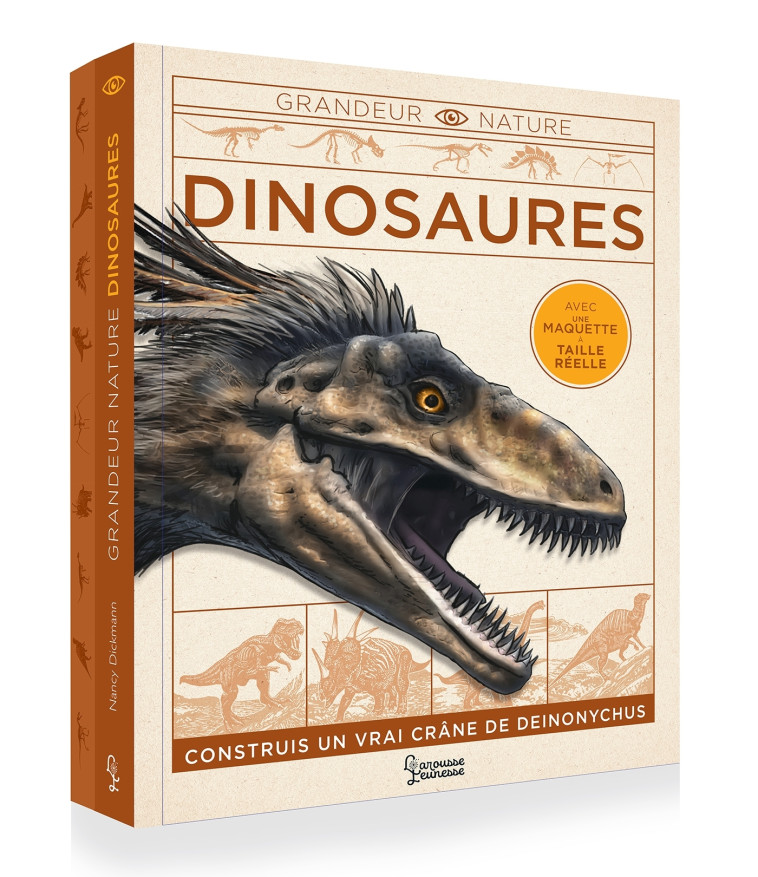 DINOSAURES - XXX - LAROUSSE