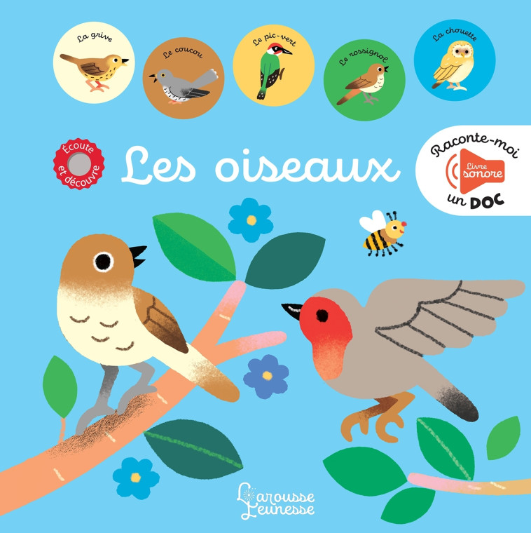 RACONTE MOI UN DOC LES OISEAUX - LUTHRINGER MELISANDE - LAROUSSE