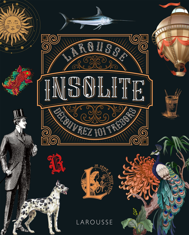 L'INSOLITE - COLLECTIF - LAROUSSE