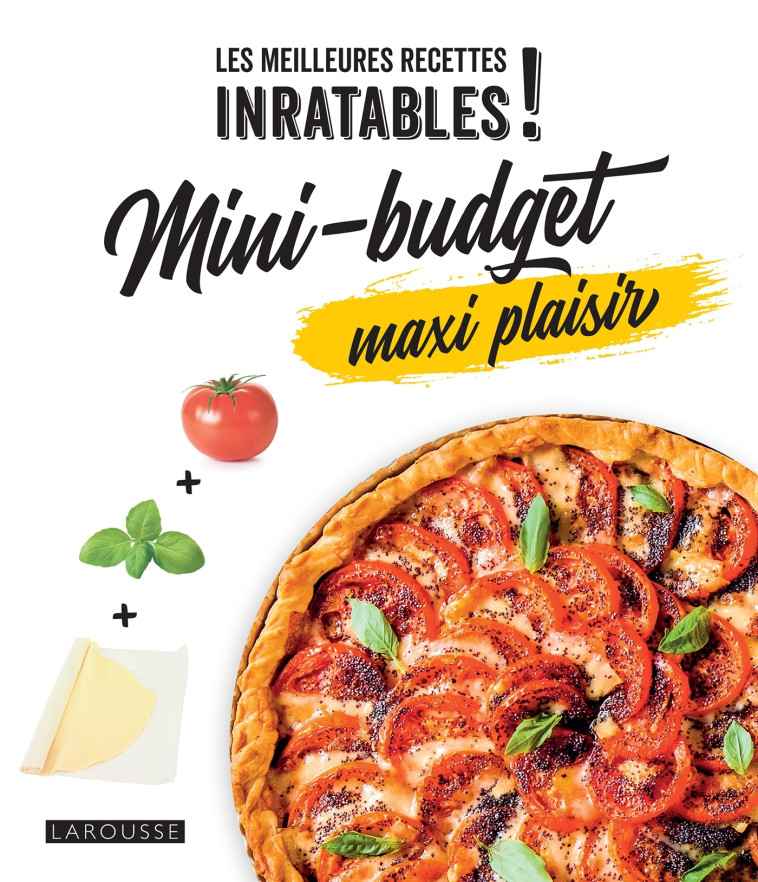 MINI-BUDGET MAXI PLAISIR - MARTIN MELANIE - LAROUSSE