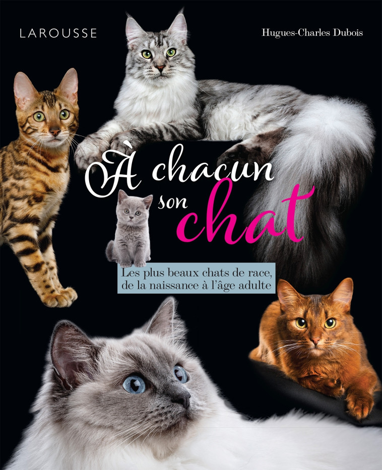 A CHACUN SON CHAT - XXX - LAROUSSE